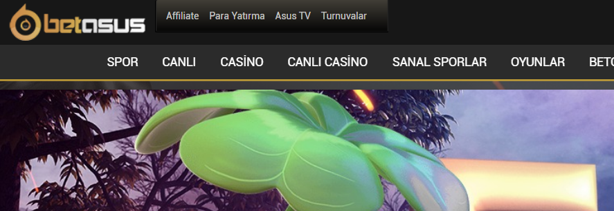 Betasus